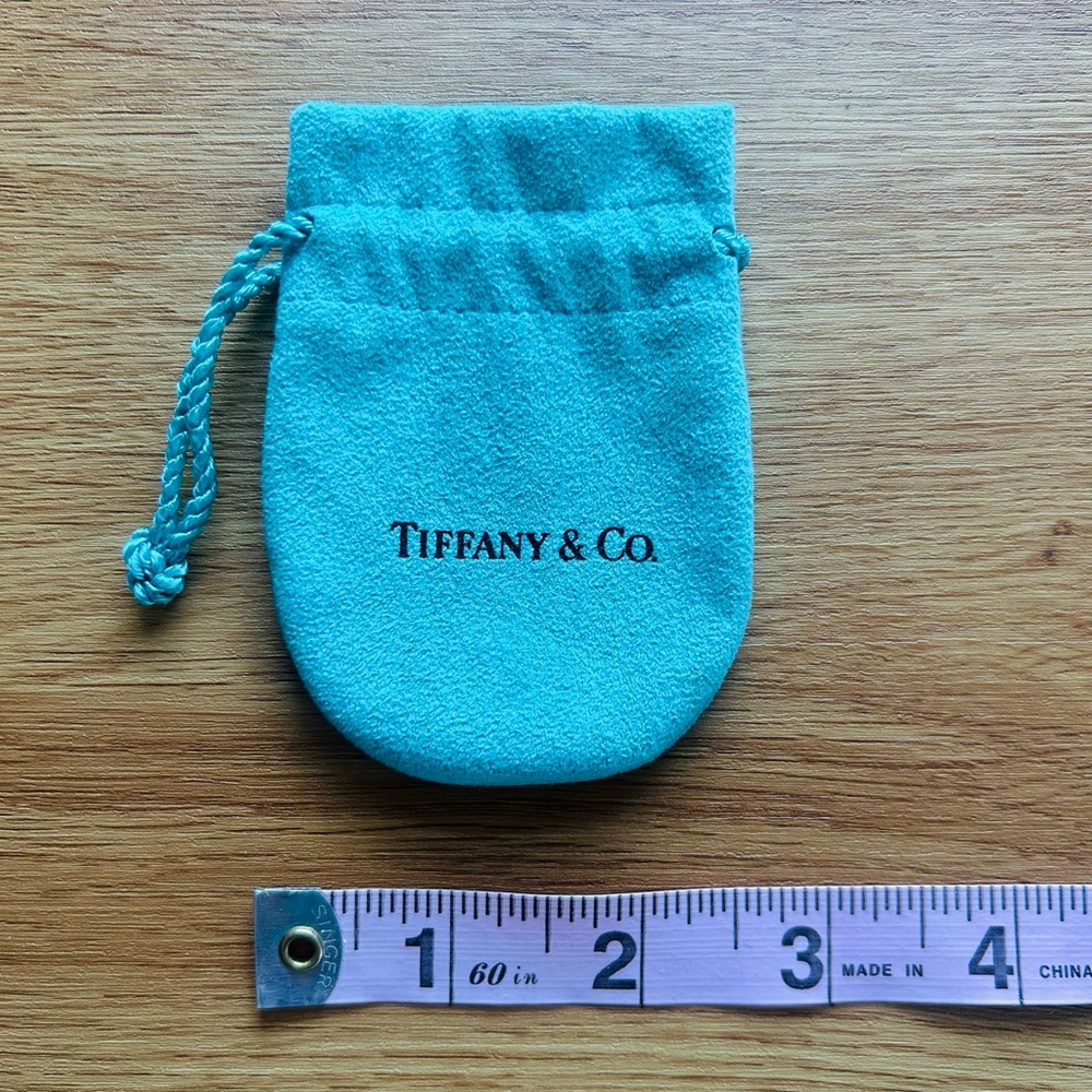 Tiffany & Co. Turquoise Drawstring Pouch